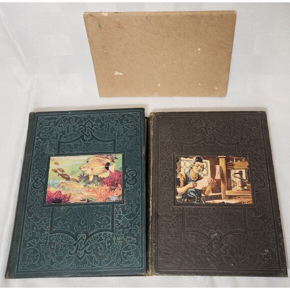 Our Wonder World Set - Handbook - The Literature Sup. Vol.‎ - The Wonder of Life - Picture 2 of 16